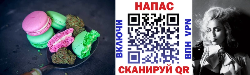 маркетплейс состав  Щёлково  Cannafood конопля 