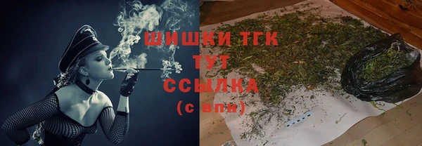 ешки Каменногорск