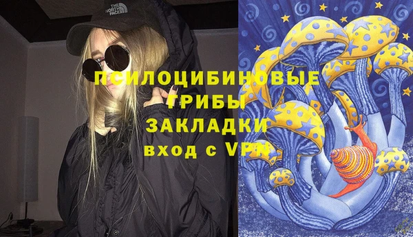 ешки Каменногорск