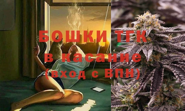 ешки Каменногорск