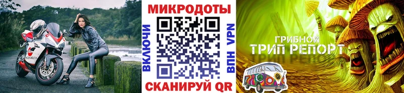 hydra ТОР  Щёлково  Псилоцибиновые грибы прущие грибы 